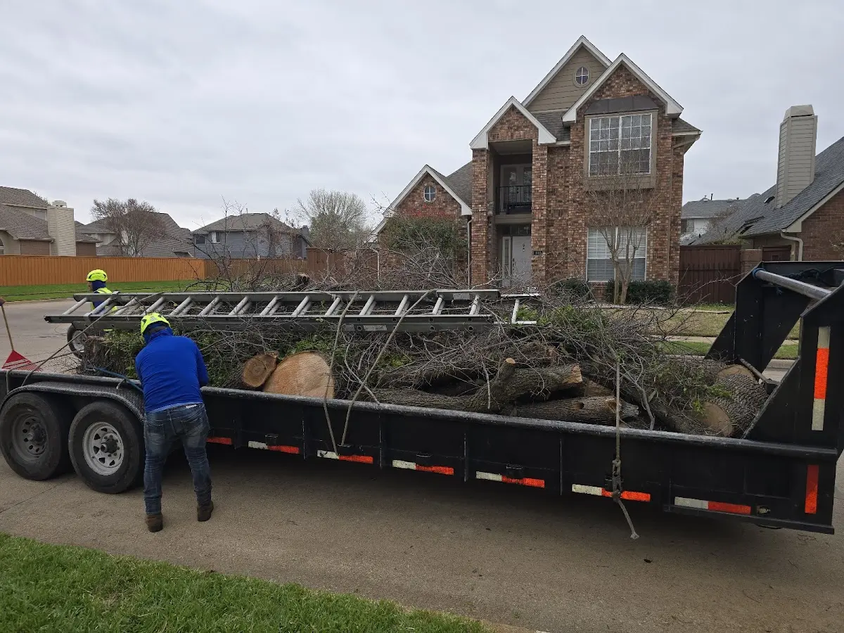 Expert Tree Fertilization with proper safety equipment in Pauline